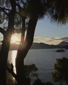 X. Die nächsten Tage nutzen wir um tolle Ausflüge an Land zu unternehmen! 