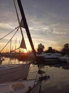 XXIV. Da fehlen mir bis heute die Worte 