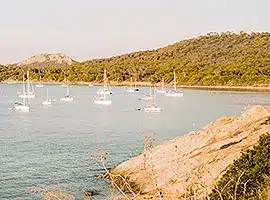 Segelyachten liegen in grüner Bucht im Mittelmeer l saiwithus