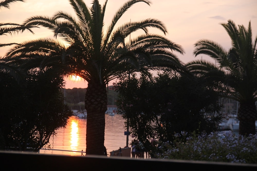 Sonnenuntergang am Hafen, die Sonne färbt das Wasser rot und scheint gerade unter einer Palme durch