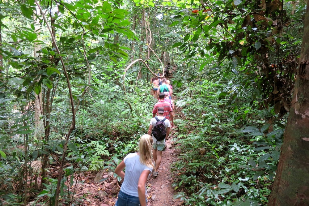 Wanderung durch den Urwald auf einer Insel im thailändischen Golf