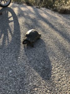 Noch mehr Freundschaften an Land wurden geschlossen!