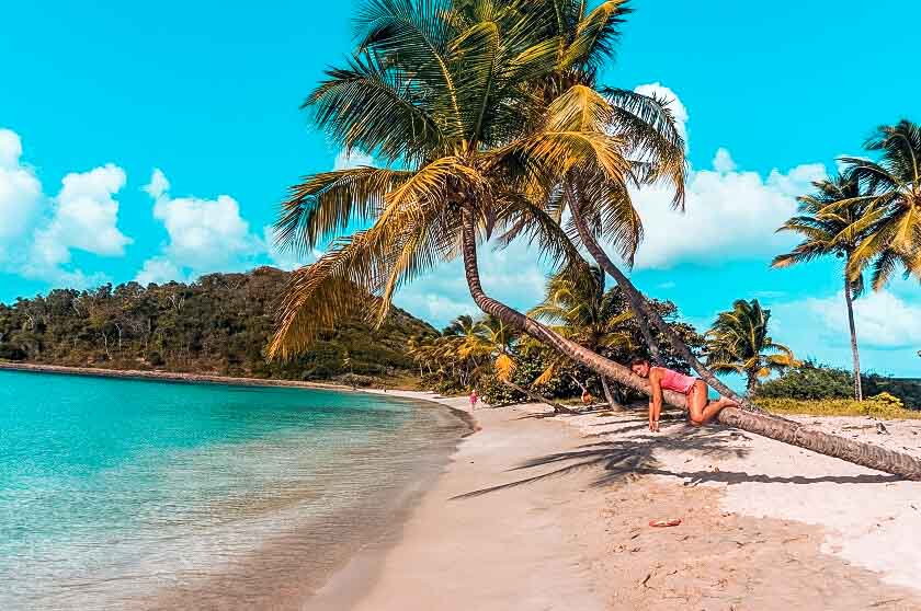 Eine Person entspannt auf einer Palme an einem ruhigen Sandstrand mit klarem blauen Wasser und strahlend sonnigem Himmel und beobachtet vorbeigleitende Segelboote. Ihre Träume einer Fernreise In der Karibik sind wehrgeworden