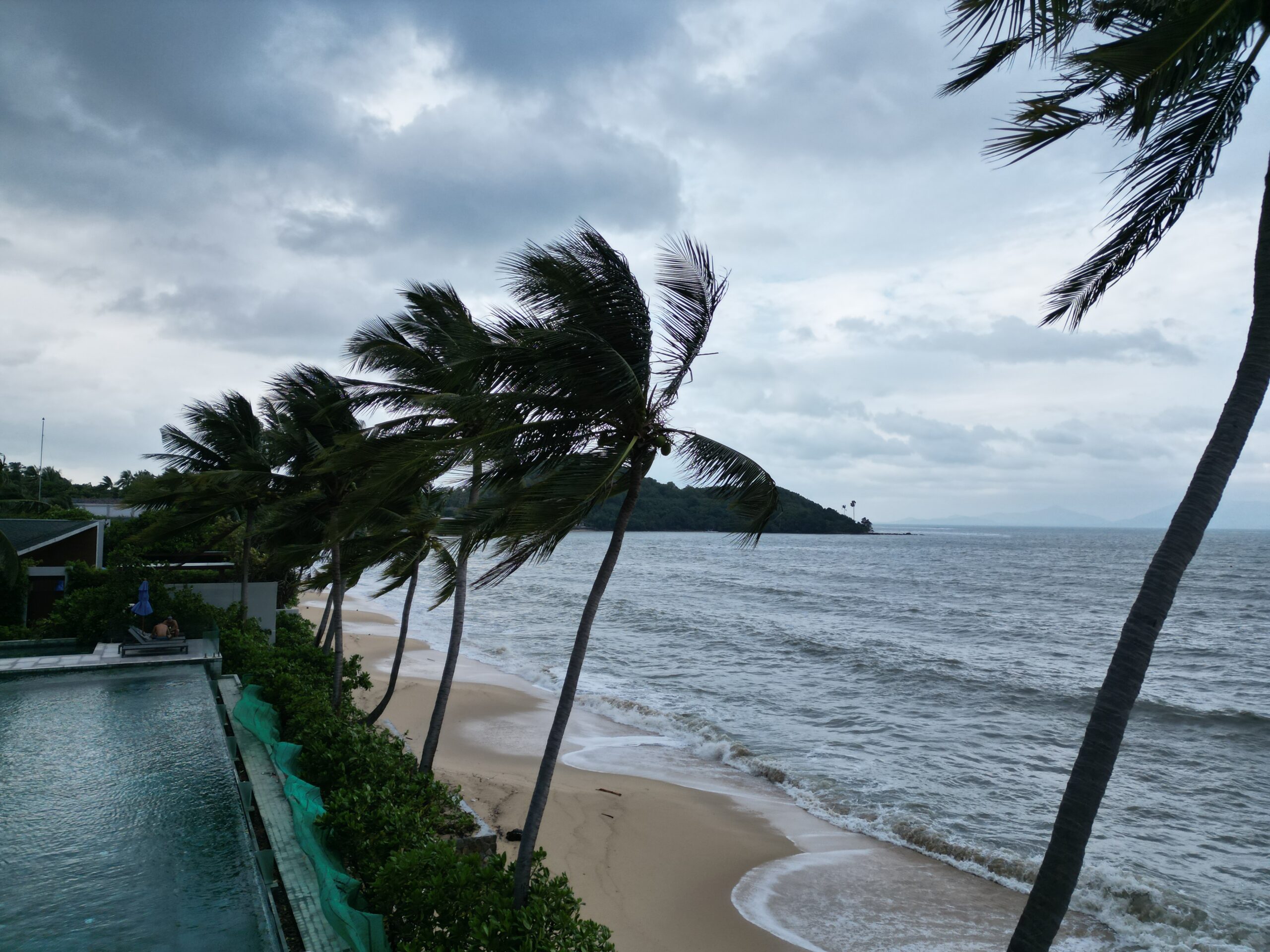 Eine Strandszene mit hohen Palmen, die sich unter einem bewölkten Himmel im Wind wiegen. Die Wellen brechen sanft an das Sandufer neben einem rechteckigen Swimmingpool, der von üppigen grünen Pflanzen umgeben ist. Im Hintergrund ist eine Insel zu sehen, die an Szenen aus einem Segelreise-Griechenland-Abenteuer erinnert.