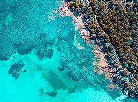 Luftaufnahme eines lebendigen Korallenriffs, eingebettet in klares, blaues Wasser, das während einer Segelreise eine Mischung aus tiefen Blau- und Aquatönen neben den felsigen Unterwasserformationen zeigt.