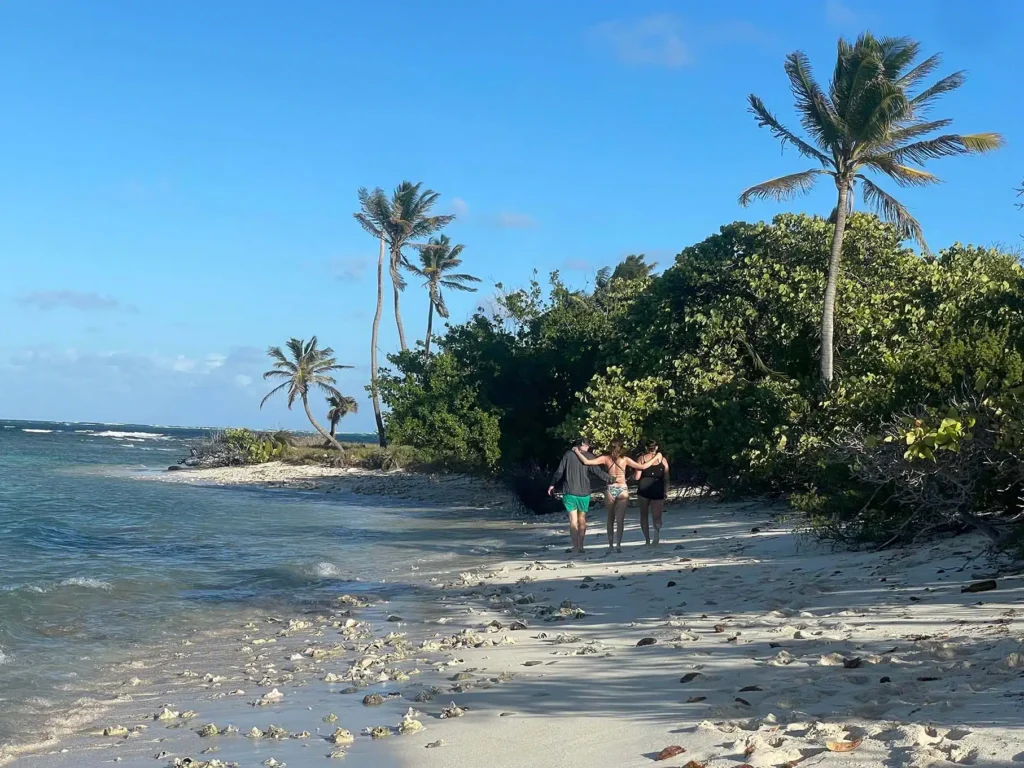 Drei Menschen gehen Arm in Arm an einem ruhigen Strand mit klarem, blauem Wasser und Palmen entlang und schwelgen in Erinnerungen an ihren letzten Segelurlaub. Sie blicken von der Kamera weg und genießen einen sonnigen Tag. Die Küste ist mit kleinen Steinen und angeschwemmtem Laub übersät, rechts davon erstreckt sich eine üppig grüne Baumreihe.