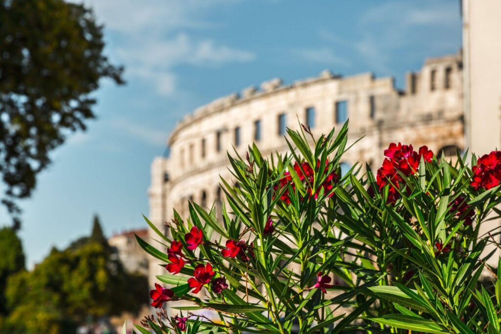Das Bild zeigt im Hintergrund ein altes Steinamphitheater, das teilweise von leuchtend roten Blumen und grünem Laub im Vordergrund verdeckt wird. Der Himmel ist klar mit vereinzelten Wolken und erinnert an die heitere Aussicht, die man während eines Segelurlaubs auf einem Segeltörn erleben kann.